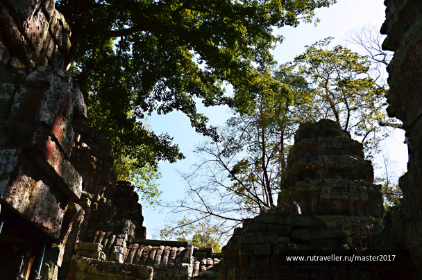 photo 1742486
