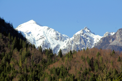 photo 1446790