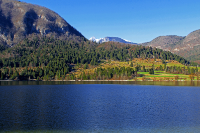 photo 1627414