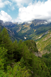 photo 1719363