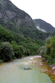 photo 1755986