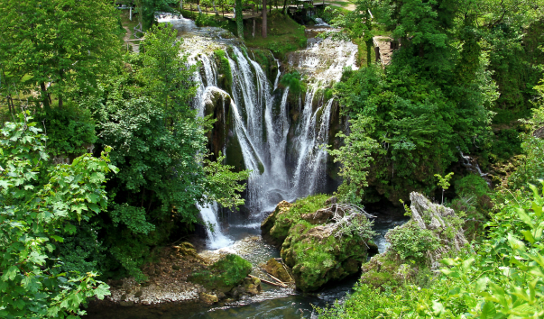 IMG-00019437