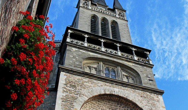 IMG-00009207