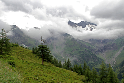 photo 1634766