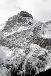 photo 1745509