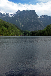 photo 1782022