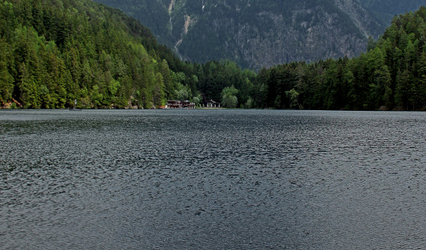 IMG-00012528