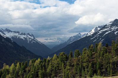 photo 1783883