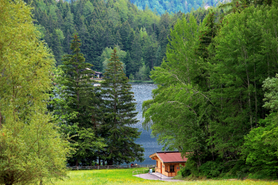 photo 1784563
