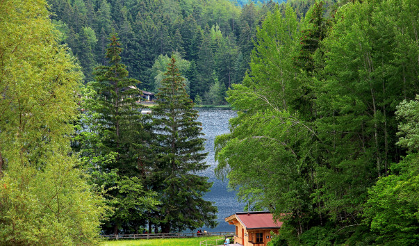 IMG-00012570
