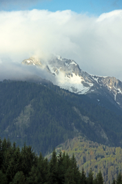photo 1795606