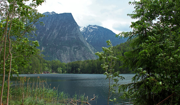 IMG-00012554