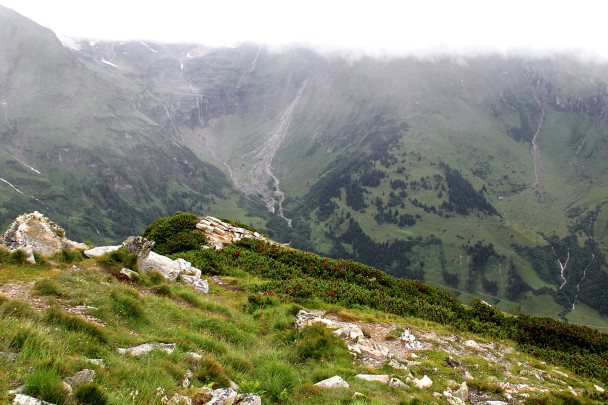 photo 1947930