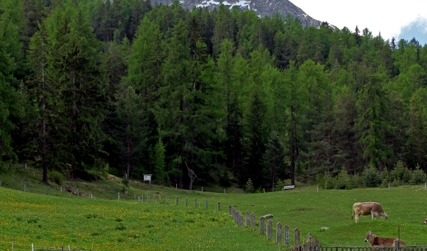 IMG-00012478