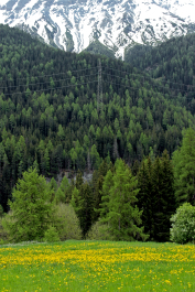 photo 1787546