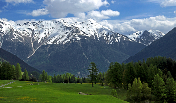 IMG-00012406
