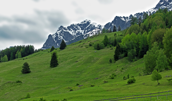 IMG-00012452