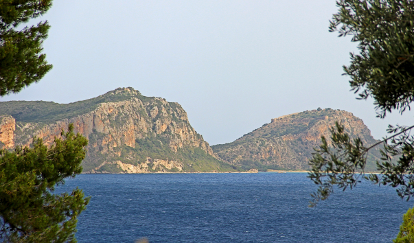 IMG-00005312