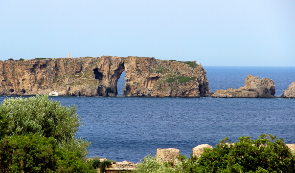 IMG-00005333