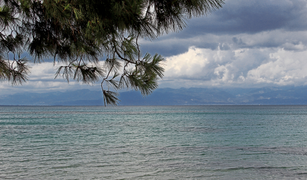 IMG-00007051