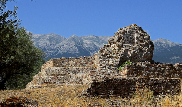 IMG-00006594