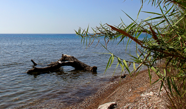 IMG-00005146