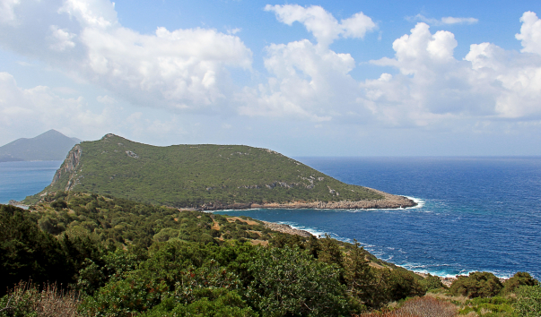 IMG-00006829