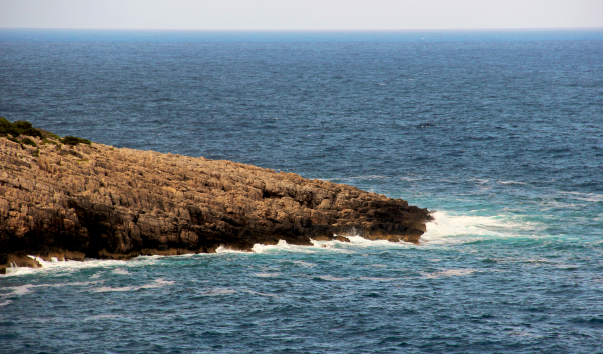 IMG-00006821