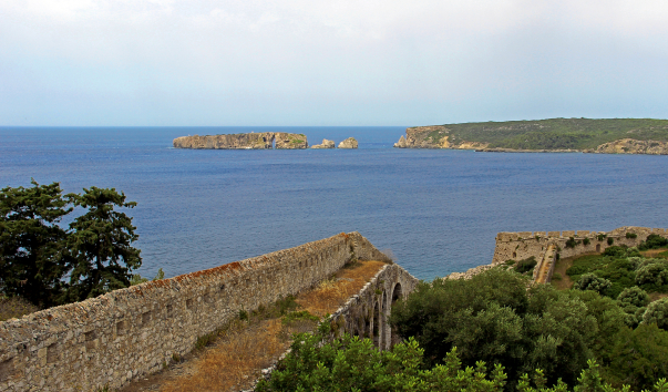 IMG-00005351