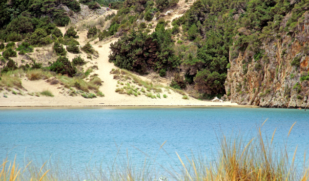 IMG-00005500