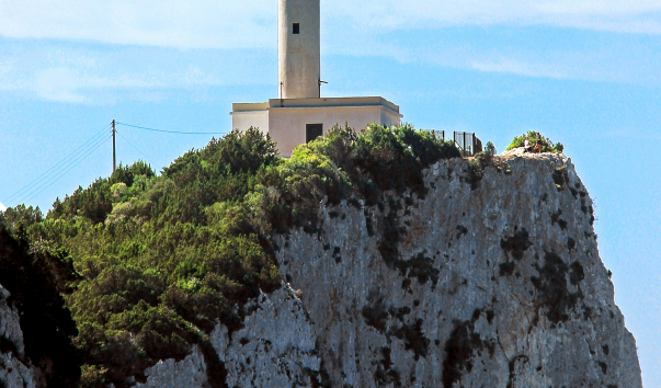 IMG-00021043
