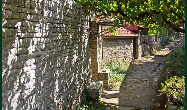 IMG-00020541