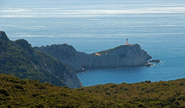 IMG-00021038