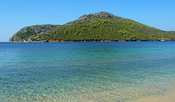 IMG-00019571