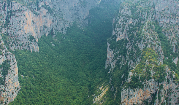 IMG-00020486