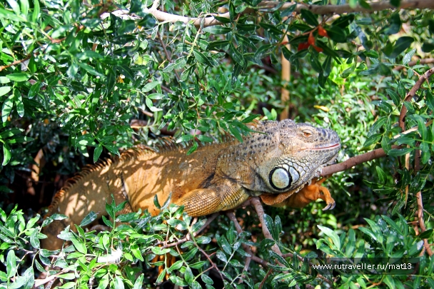photo 1437726