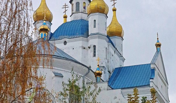 IMG-10003856