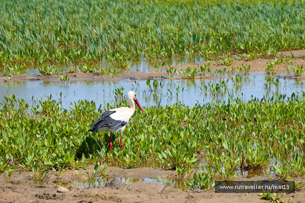 photo 2114756
