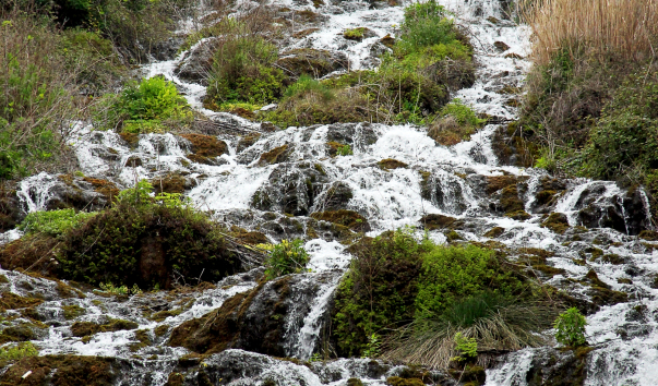 IMG-00011244