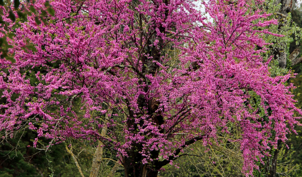 IMG-00011328