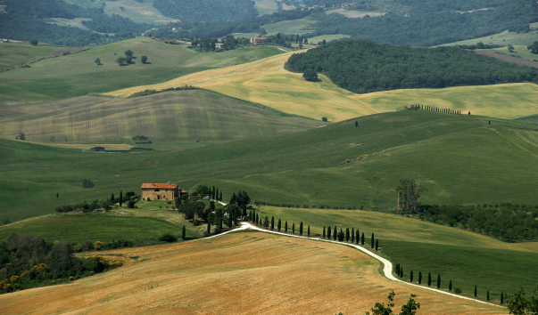 IMG-00013075