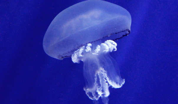 IMG-00013692