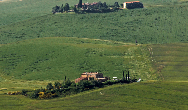 IMG-00013072