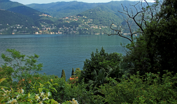 IMG-00011947
