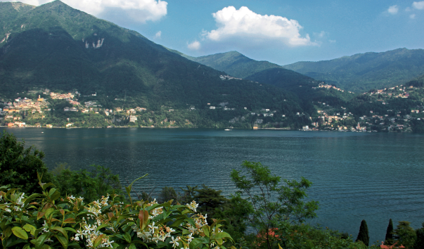 IMG-00011944