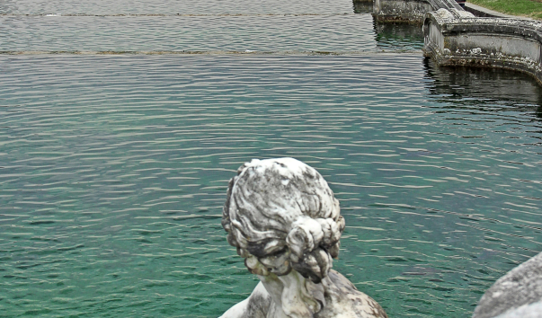 IMG-00011203