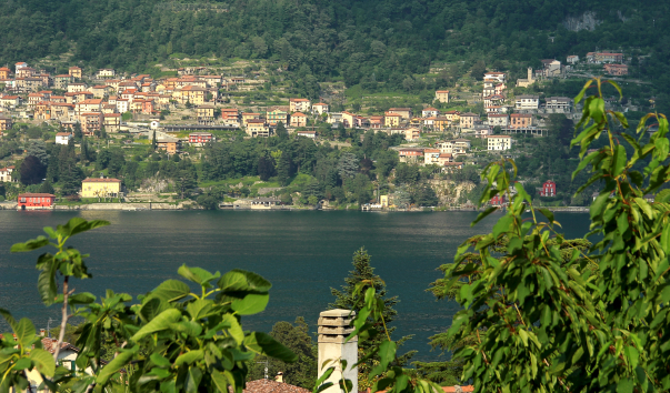 IMG-00011978