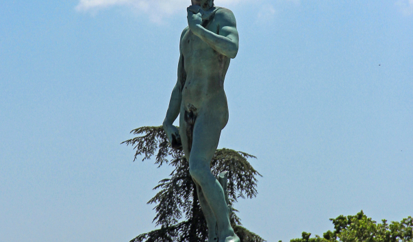 IMG-00013779