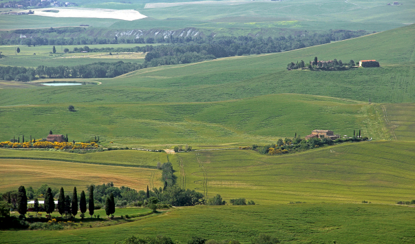IMG-00013090