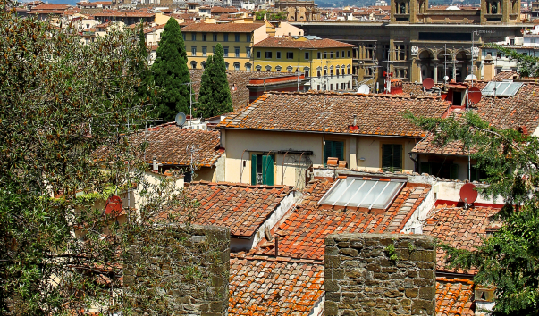 IMG-00013733